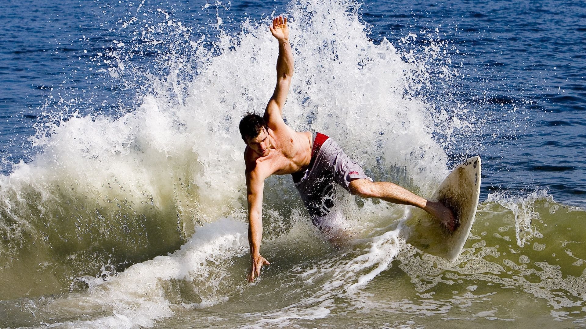 开云平台-动物与人类体操:动物元素的运动趣味,动物体操儿歌视频大全